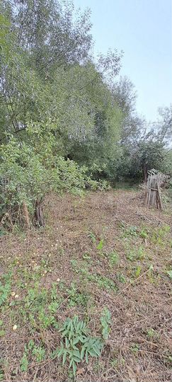 Дом 50 м² на участке 8 сот.