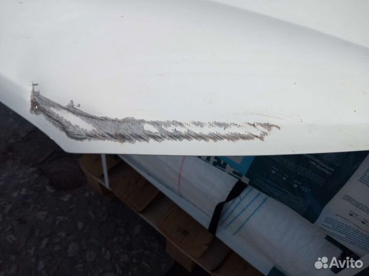 Капот Гранта фл 2019