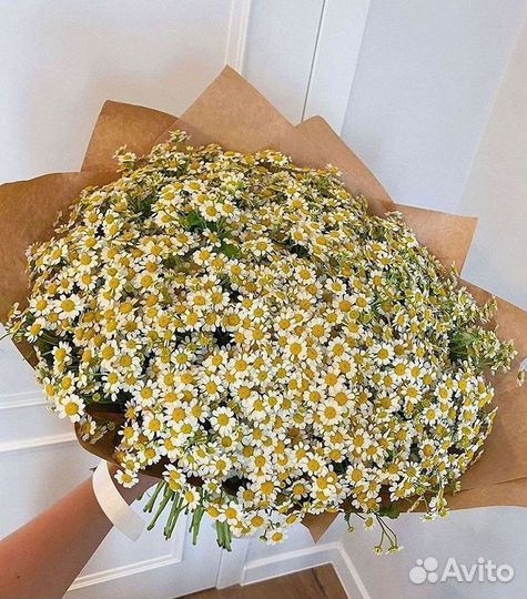 Ромашки букет