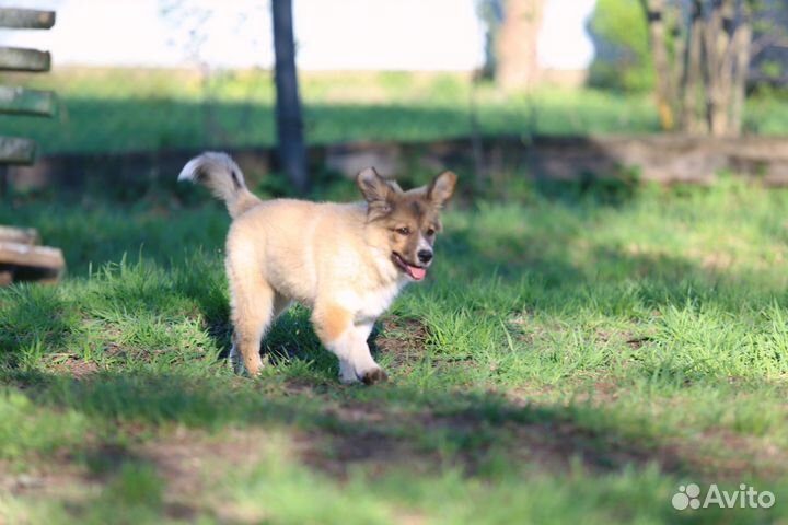 Помогите найти дом