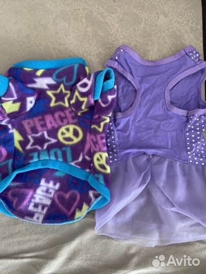 Одежда для собак мелких пород