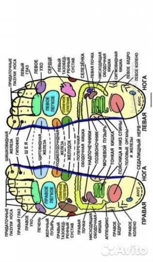 Остео-Массаж Висцеральные техники