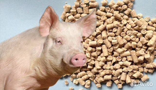 Комбикорм Пк-52 Поросята 2-8 месяцев