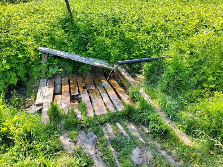 Участок 7,9 сот. (ИЖС)