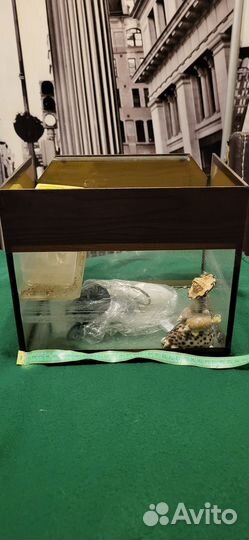 Аквариум