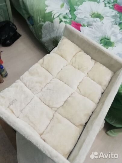 Когтеточка кошкин дом