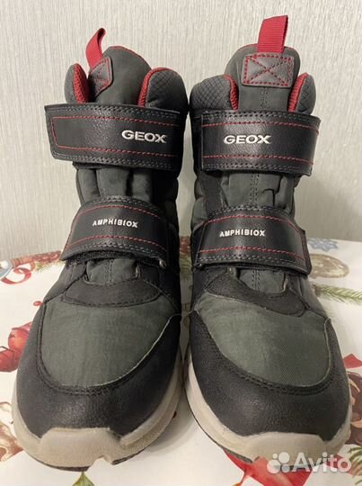 Ботинки geox 38