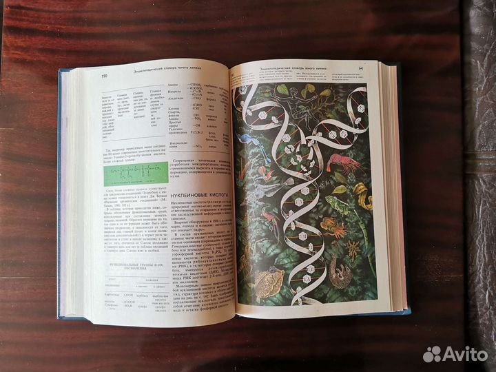 Словарь юного химика