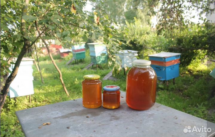 Июньский мед 2024