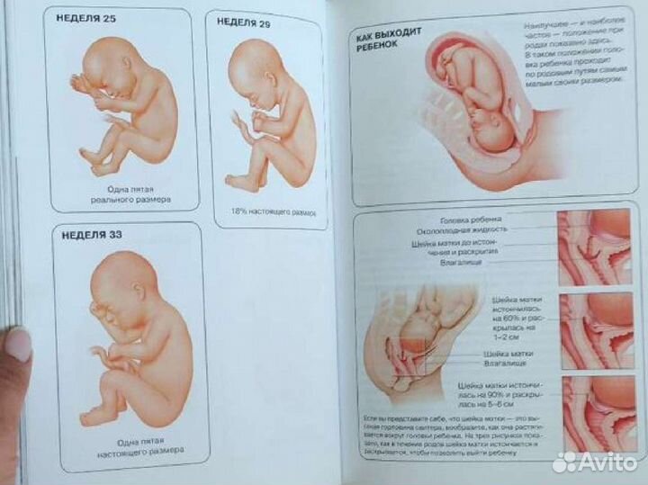 Книга по беременности и родам