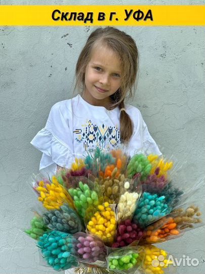 Лагурус сухоцвет Сухоцветы