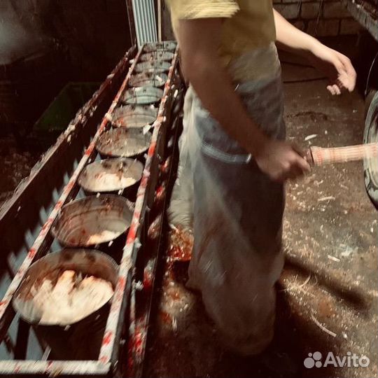 Подработка вечерняя