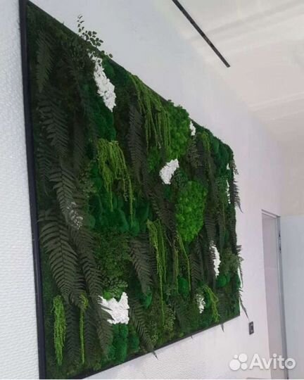 Фитокартина панно из мха фитостена