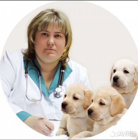 Ветеринарный врач Веснина. Стаж 20 лет. Вызов 24/7