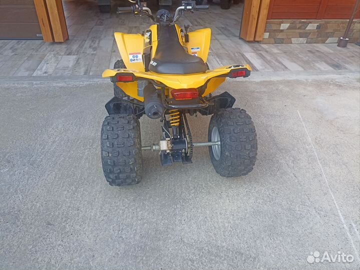 Can-am DS 250