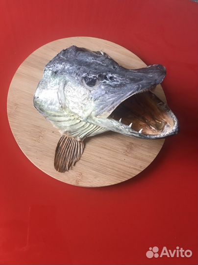 Чучело щука