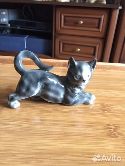 Кошка, Германия