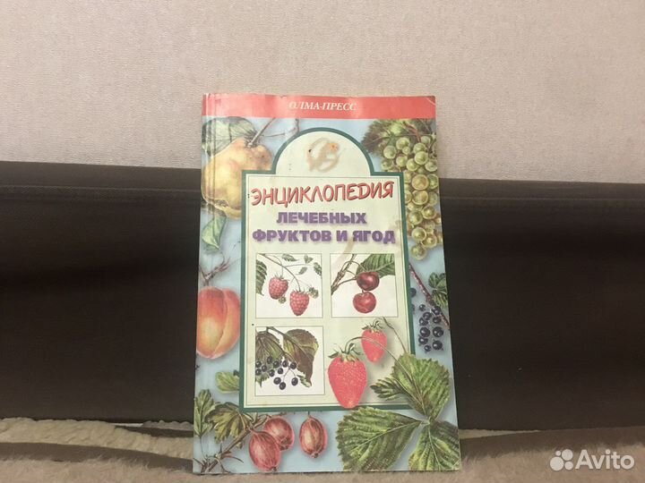 Книга,лечебных фруктов и ягод’’