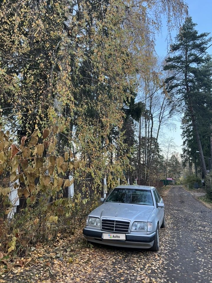 Mercedes-Benz W124: фото владельца