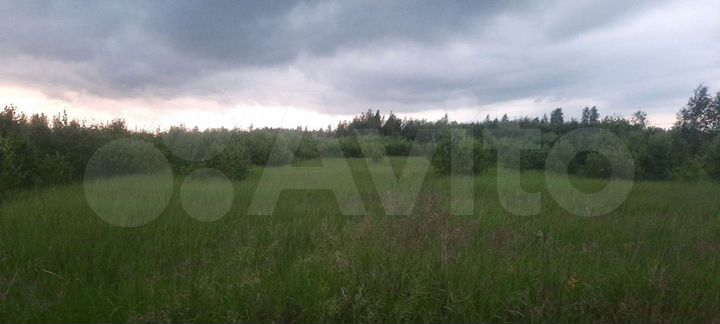 Участок 10 сот. (ИЖС)