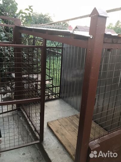 Гостиница для животных