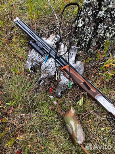 Манки на рябчика 