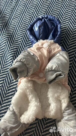 Комбинезон для собаки