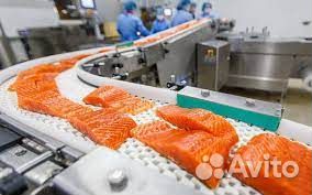 Упаковщик рыбы вахта без опыта