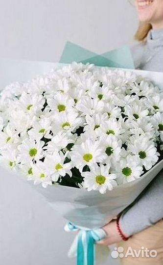 Хризантема Доставка цветов Букеты