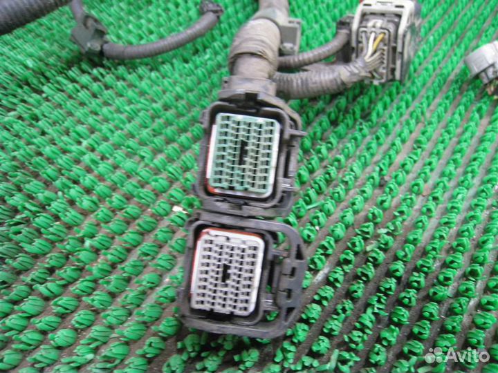 Жгут проводки двигателя Honda Civic 5D (FN) 2007