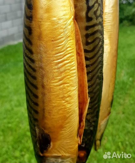 Щепа, Ольха,Яблоня,для копчения