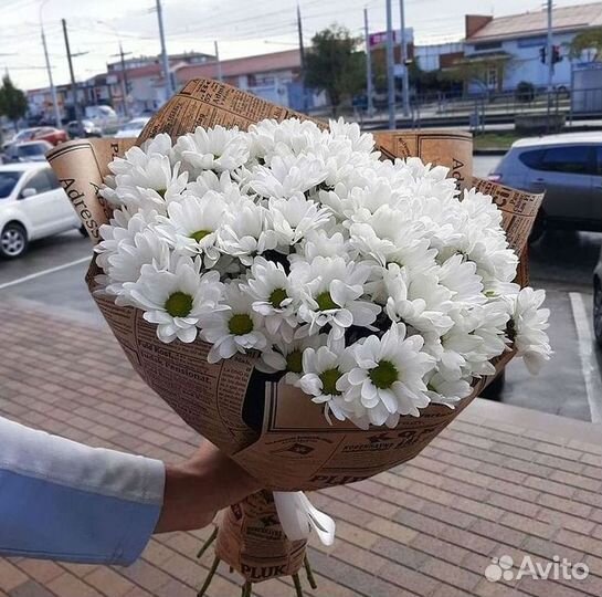 Хризантема Букеты с доставкой