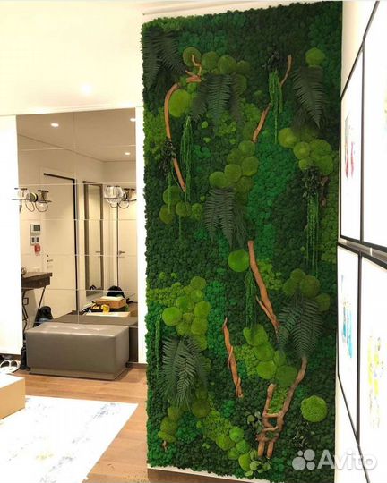 Фитостена из стабилизированного мха и стабилизиров