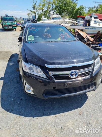 Сигнал звуковой Toyota Camry AVV50 2AR-FXE 2012