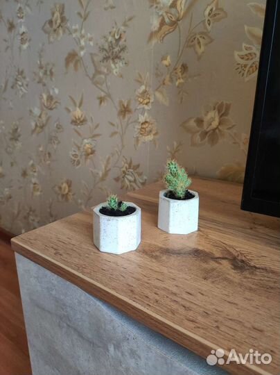 Интерьерные изделия из гипса с кактусом кашпо