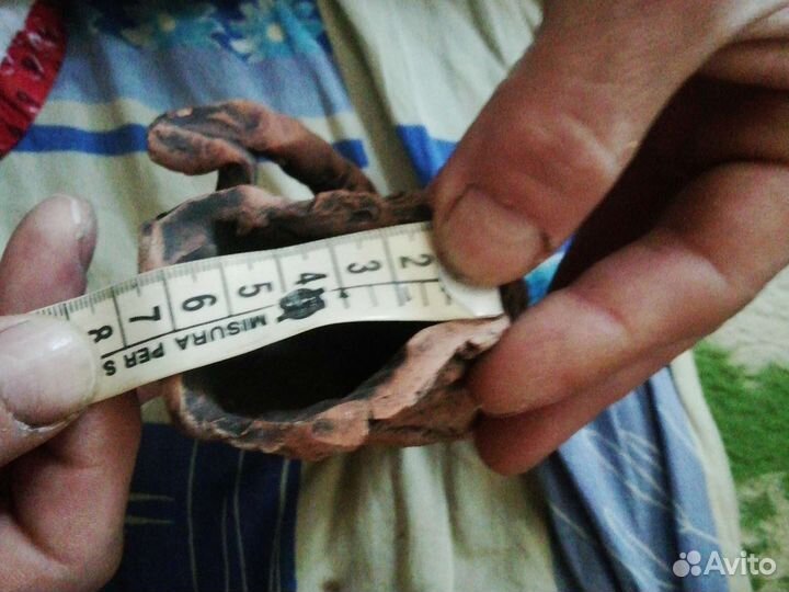 Грот и ракушки