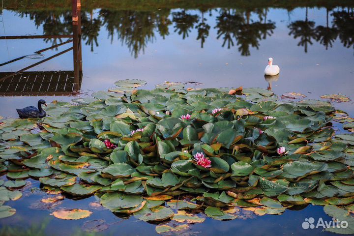 Отдых и рыбалка