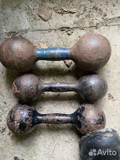 Гантели 5 ; 6; 8