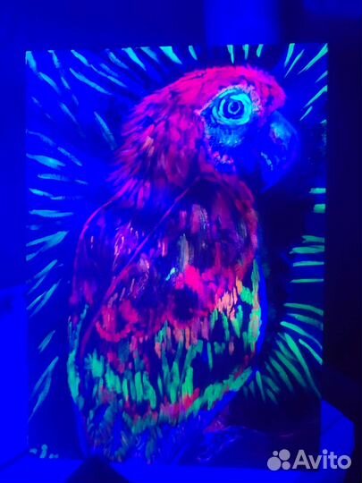 Картина светящаяся попугай glow