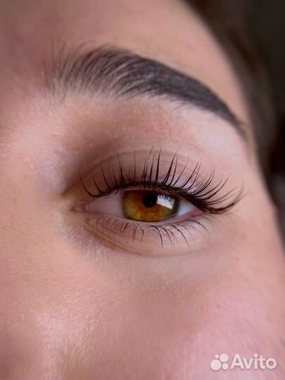 Коррекция и окрашивание бровей лами ресниц