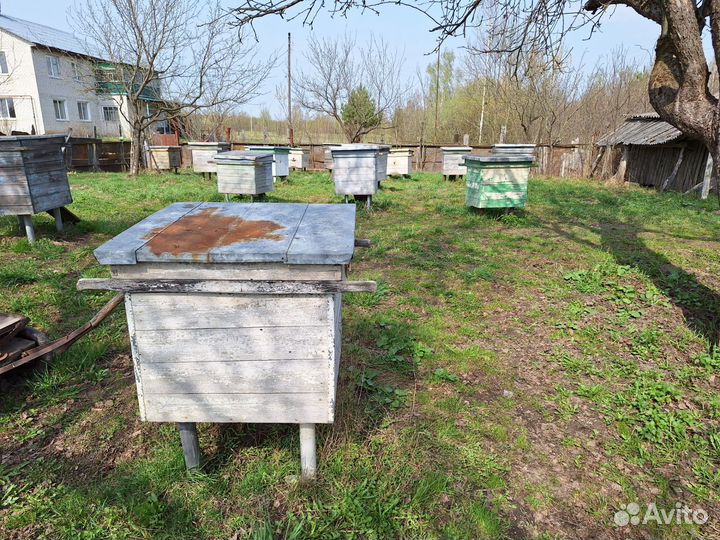 Улей для пчел бу