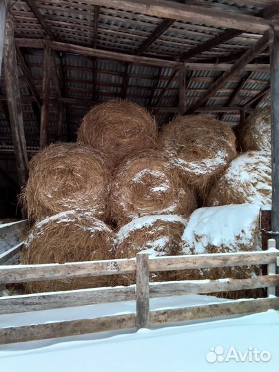 Продам сено в рулонах 300кг рулон