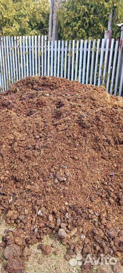 Конский навоз (перегной)