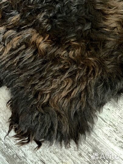 Овечья шкура 2 штуки