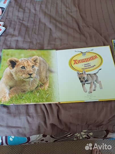 Энциклопедия для детей