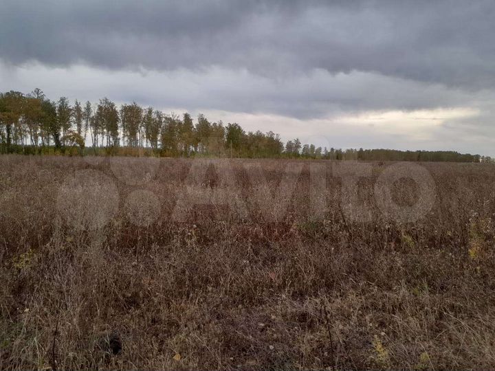 Участок 16,8 га (СНТ, ДНП)