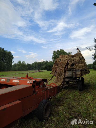 Сено в брикетах. Солома в брикетах
