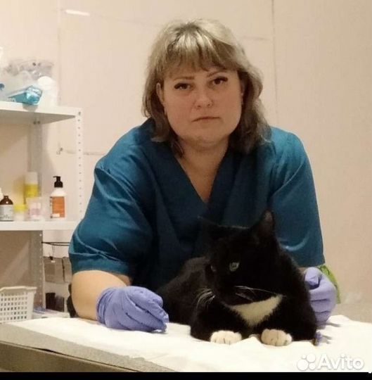 Ветеринарный врач Веснина. Стаж 20 лет. Вызов 24/7