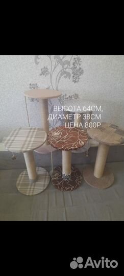 Когтеточка для кошек