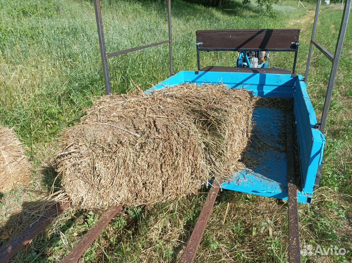 Сено люцерны в тюках